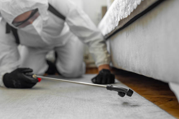 Professional Ant Control technician working in Volusia County County, FL